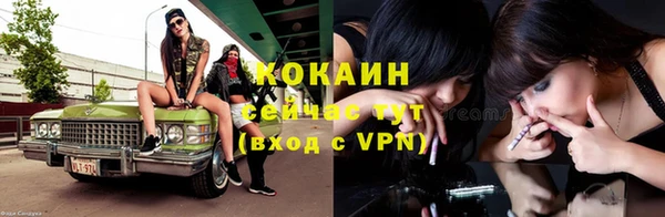 ECSTASY Горняк