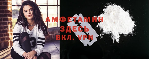 ECSTASY Горняк
