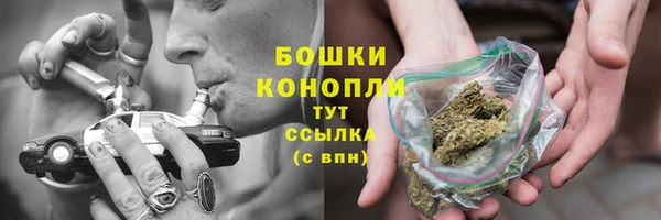ECSTASY Горняк