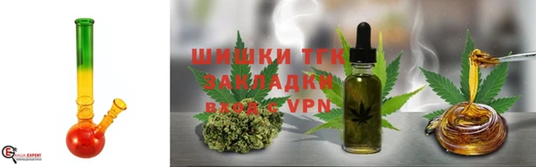 ECSTASY Горняк