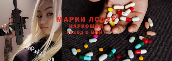 ECSTASY Горняк