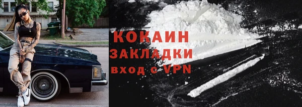 ECSTASY Горняк