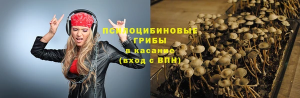 ECSTASY Горняк